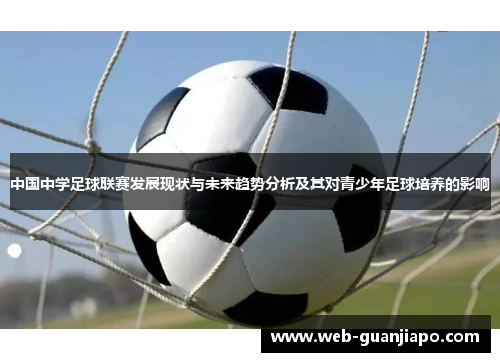 中国中学足球联赛发展现状与未来趋势分析及其对青少年足球培养的影响