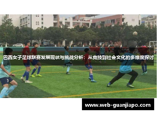 巴西女子足球联赛发展现状与挑战分析：从竞技到社会文化的多维度探讨